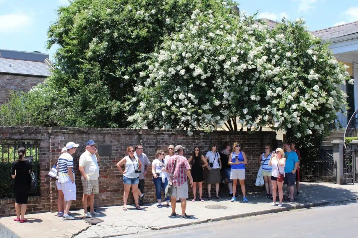 New Orleans Tours for Family Reunions