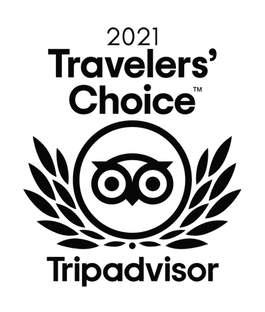 traverlers choice 2021 award