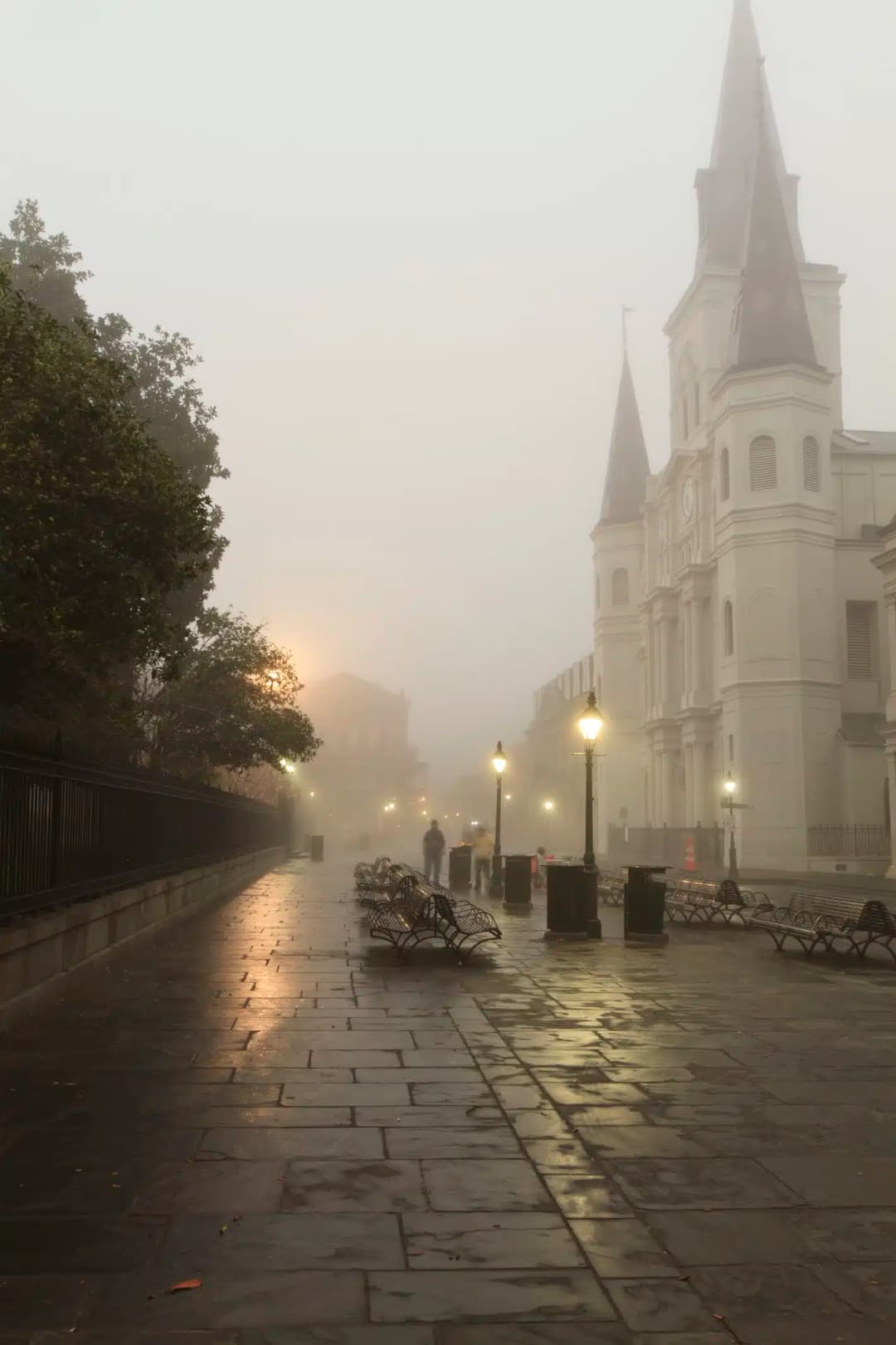 St Louis Cathedral shrouded in fog