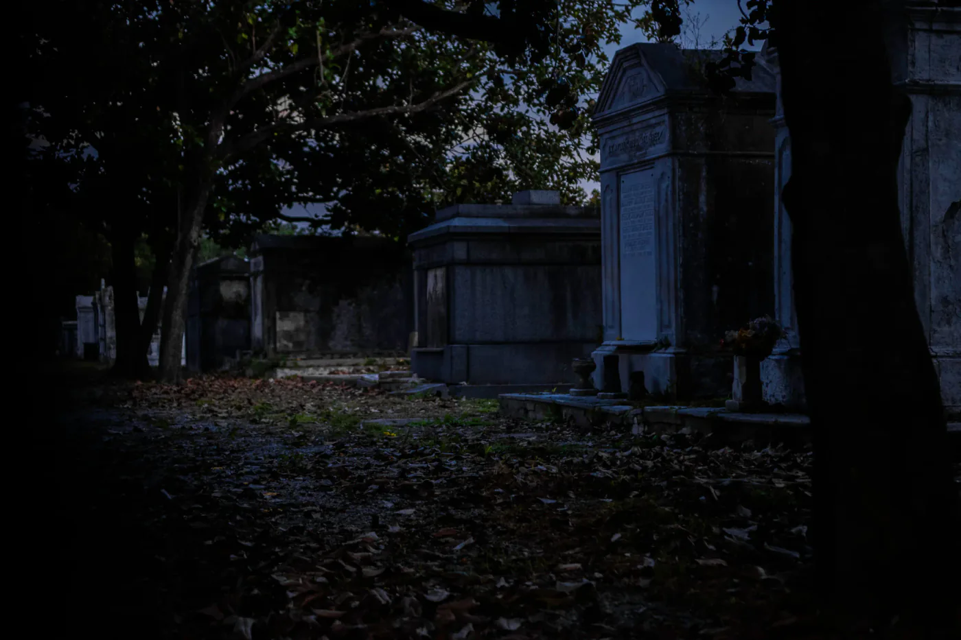 Lafayette Cemetery tombs and trees at night