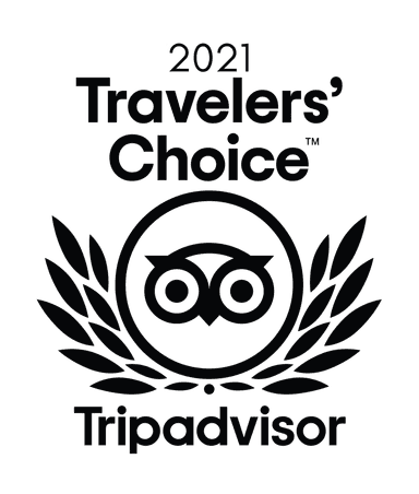 travelers choice 2021 award